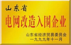 国网入网证